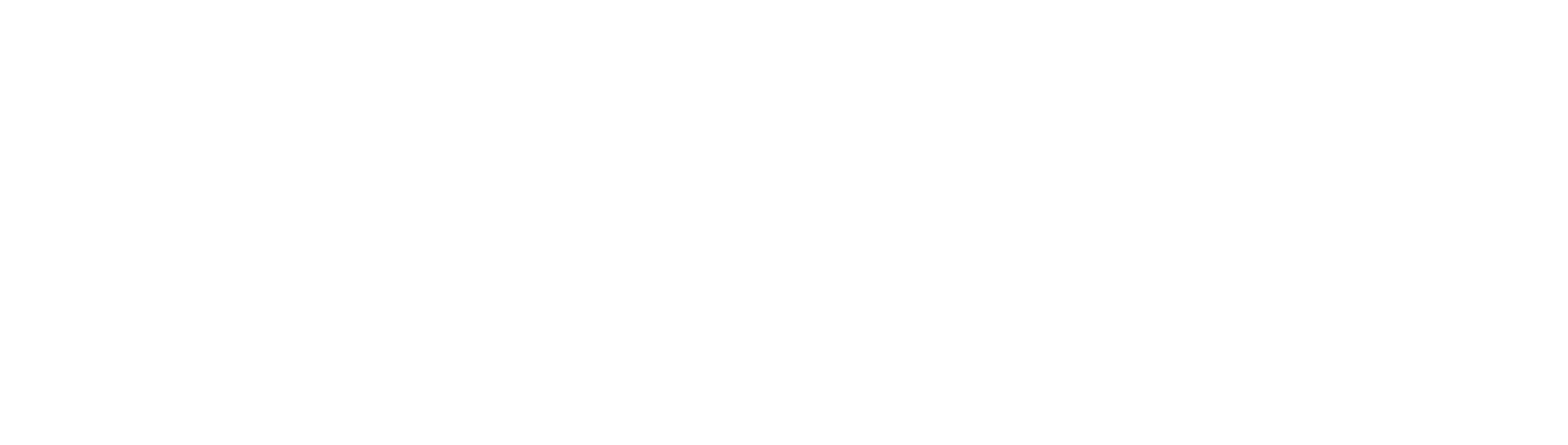 Aries Consulting Group